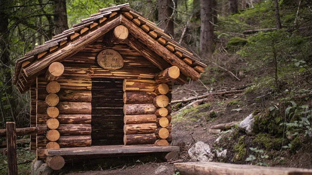 E20 Foret .vattard Le Grand Bornand Tourisme 029