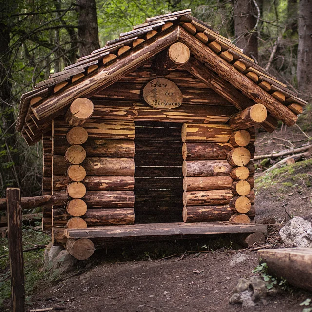 E20 Foret .vattard Le Grand Bornand Tourisme 029