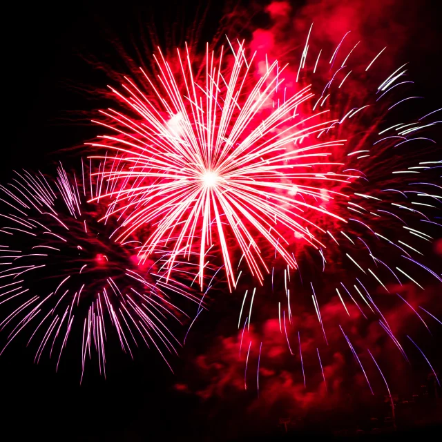 13 Juillet M.dubost 65