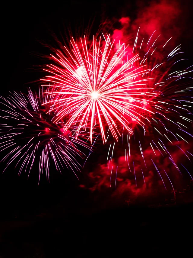13 Juillet M.dubost 65