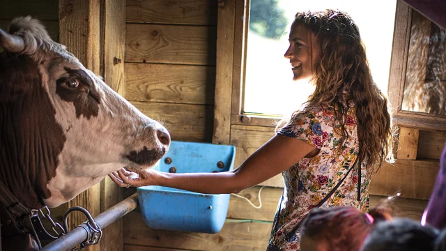 6aravis Ferme Tvattard E20