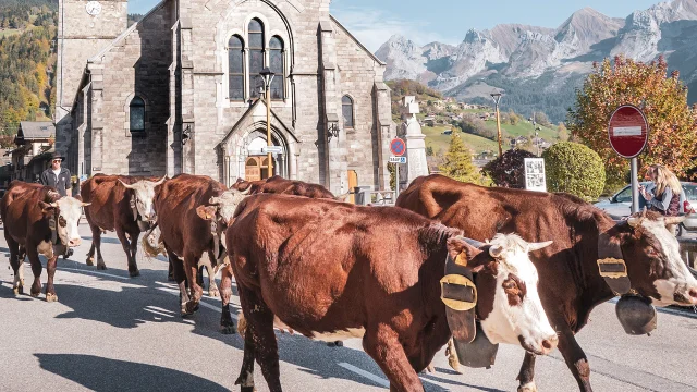 Descente Alpage Octobre 2022 J.cathala Ot Le Grand Bornand 1