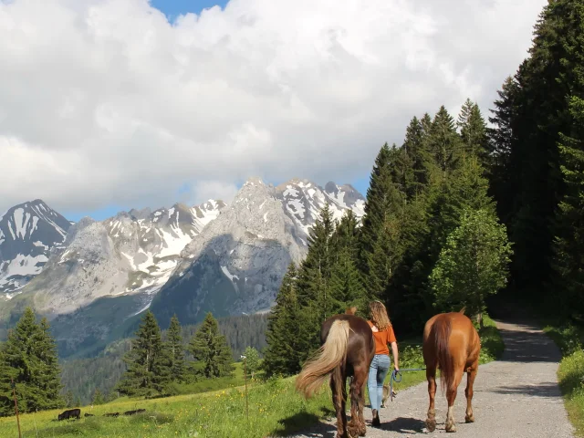 Balade à cheval sur un chemin face à la Chaîne des Aravis