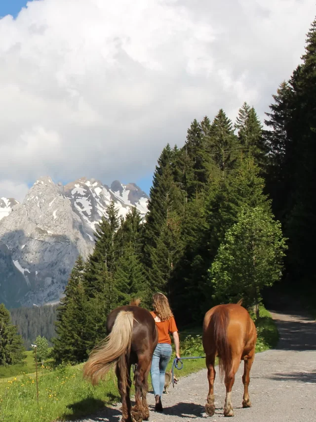 Balade à cheval sur un chemin face à la Chaîne des Aravis