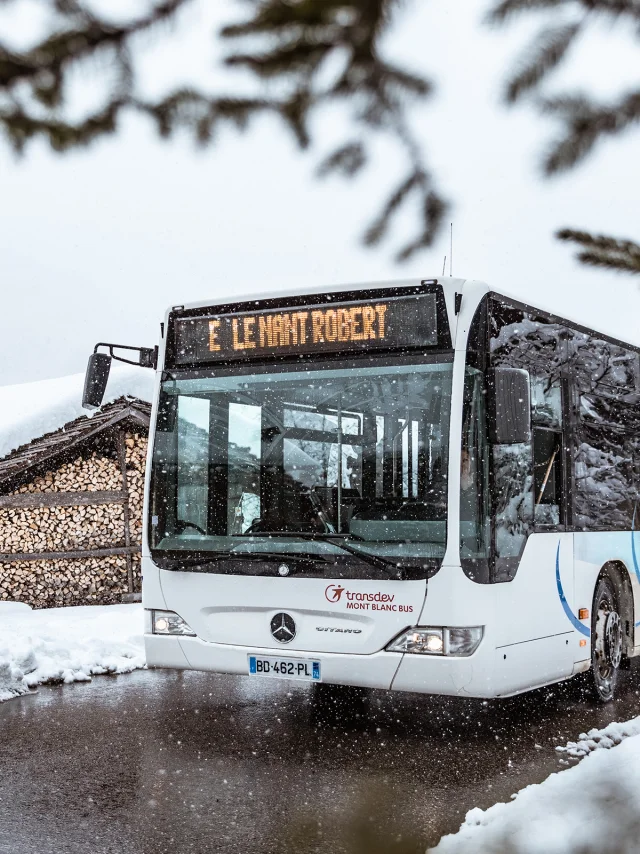 31aravis Clementhudry Skibus H19