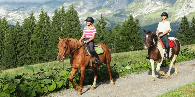 Balade à cheval avec vue sur la chaîne des Aravis et des sapins verdoyants