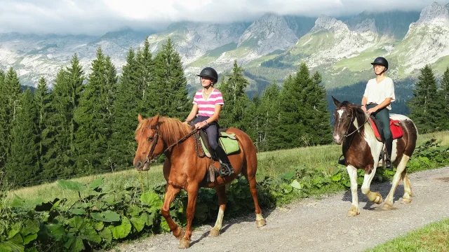 Balade à cheval avec vue sur la chaîne des Aravis et des sapins verdoyants