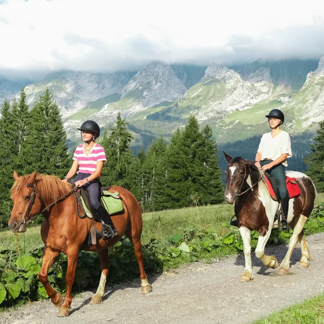 Balade à cheval avec vue sur la chaîne des Aravis et des sapins verdoyants