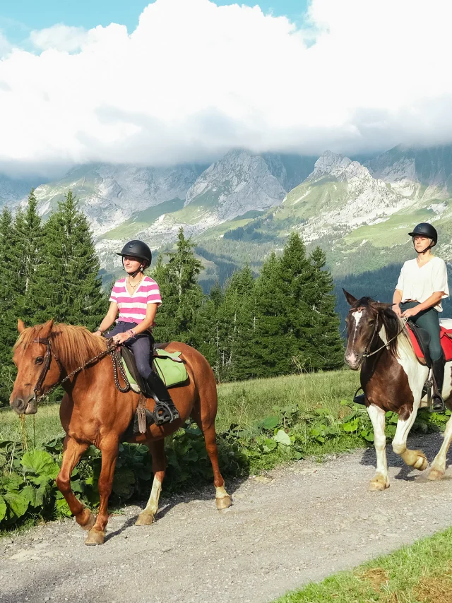 Balade à cheval avec vue sur la chaîne des Aravis et des sapins verdoyants