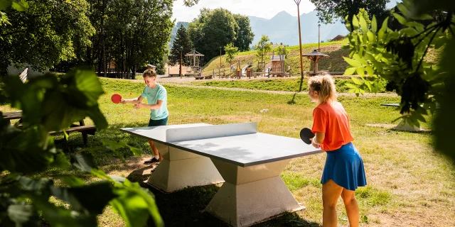 Ping Pong M.dubost 28
