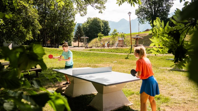 Ping Pong M.dubost 28