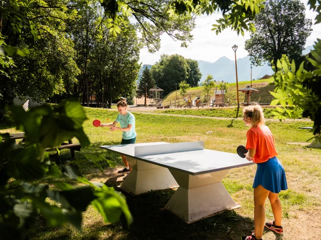 Ping Pong M.dubost 28