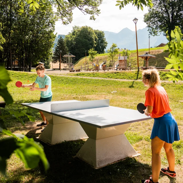 Ping Pong M.dubost 28