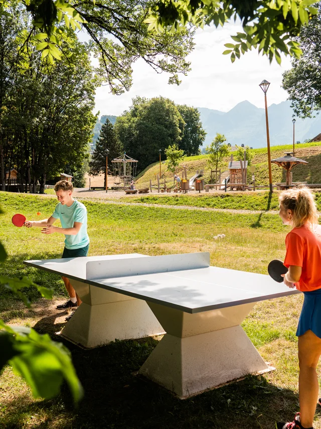 Ping Pong M.dubost 28
