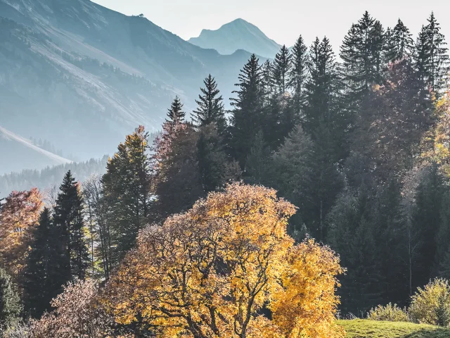 Paysage d'automne au Grand-Bornand