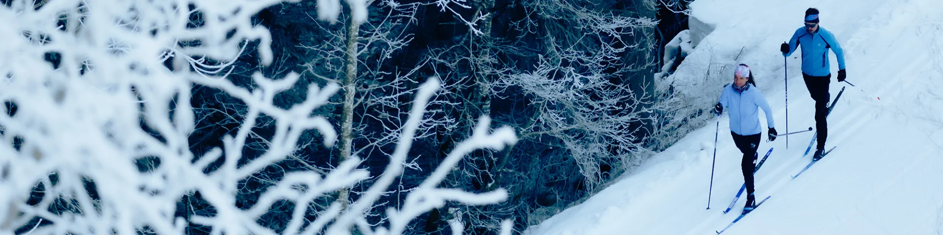 Skieurs nordique en action sur les pistes