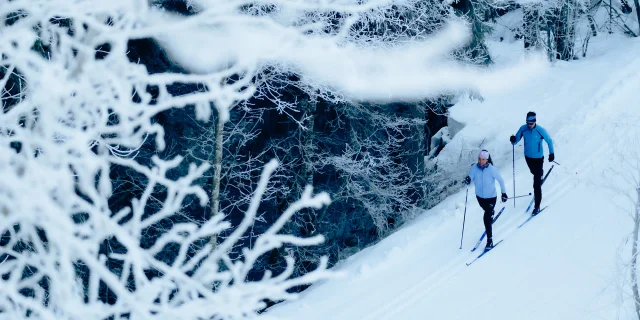 Skieurs nordique en action sur les pistes