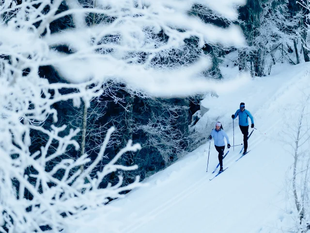Skieurs nordique en action sur les pistes