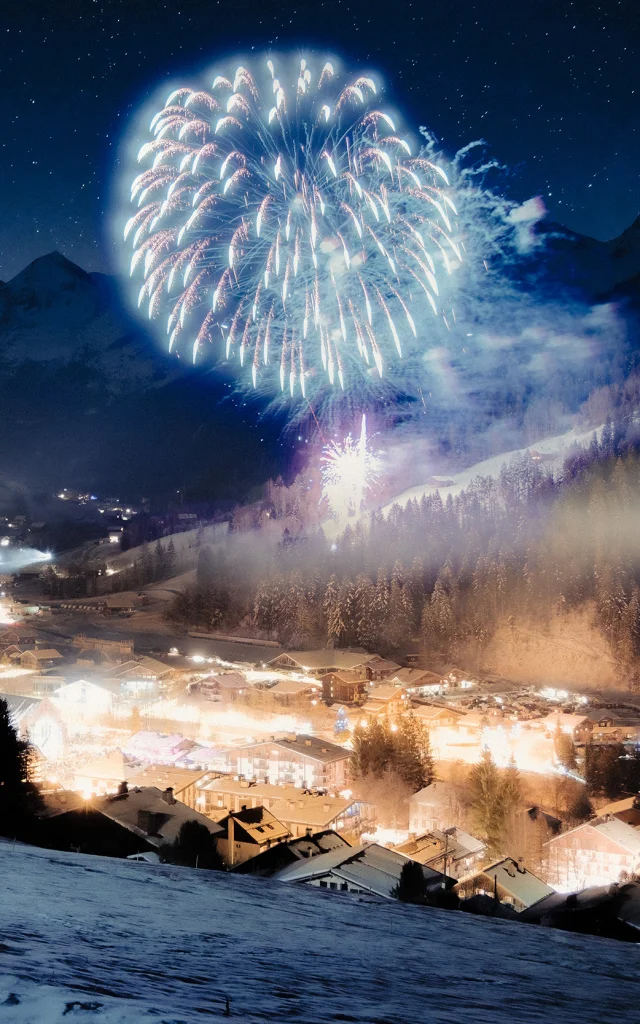 Otgb New Year┬®c.hudry 27