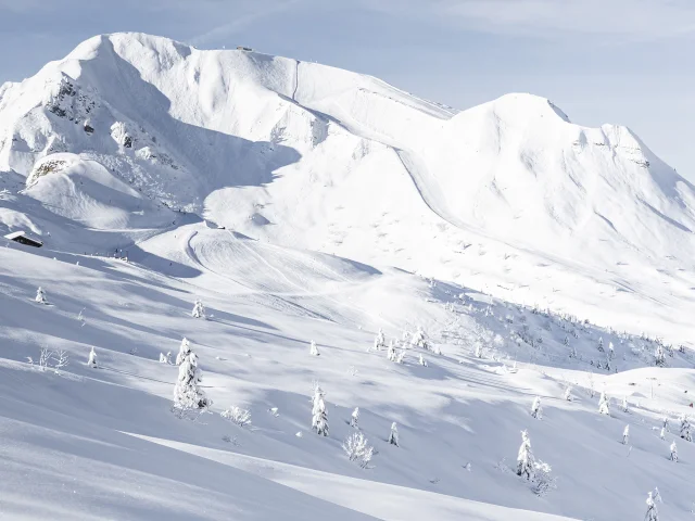 La Freeride et l’incontournable Piste 2000 dominant la vallée de Maroly