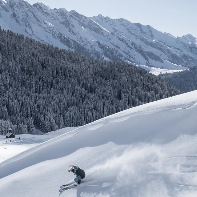 2023 Alpine Ski T.shu Ot Lgb Hd 43