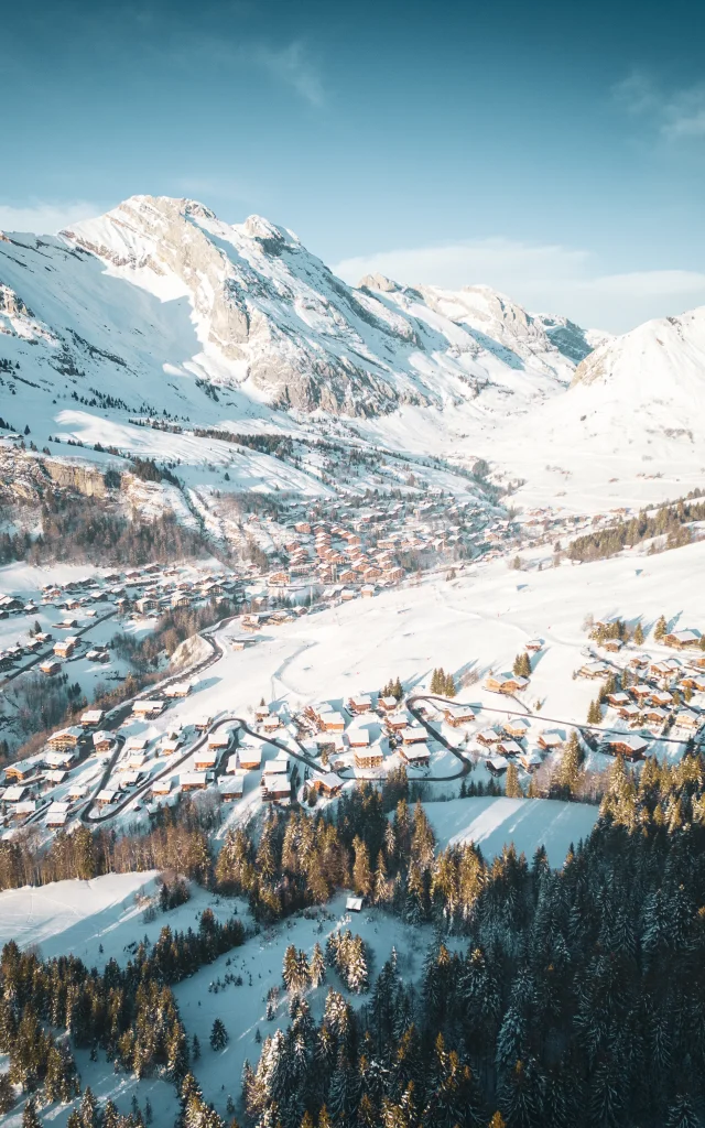 Chinaillon Hiver J.cathala 2