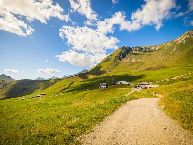 E17 8m9a1782 Paysage C.cattin Alpcatmedias Le Grand Bornand