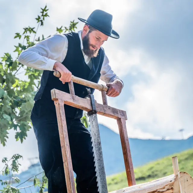 Alpine Pasture Festival, M. Dubost 134