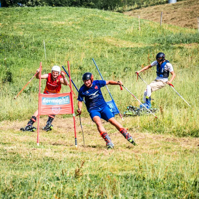 Alpine Pasture Festival M. Dubost 009