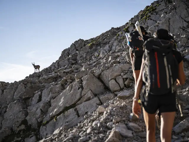 Dans l'objectif de Tilby Vattard à l'occasion de la Fête de la Montagne, du 14 juillet 2026 - éclairage de la chaîne des Aravis