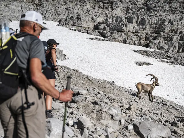 Dans l'objectif de Tilby Vattard à l'occasion de la Fête de la Montagne, du 14 juillet 2026 - éclairage de la chaîne des Aravis