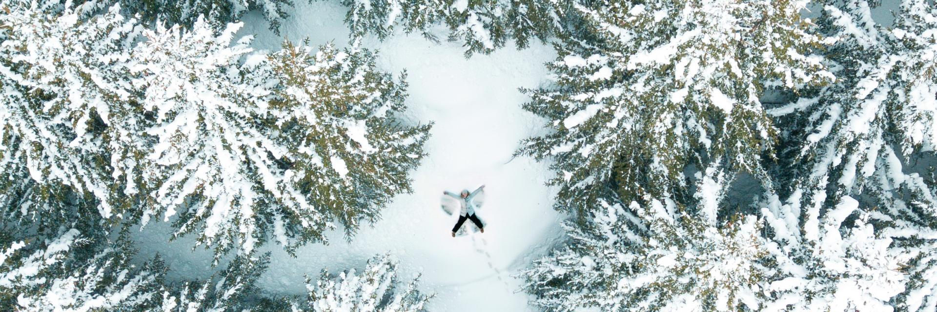 Promenade dans les sapins une personne se jette dans la neige fraîche dans la station des 2 Alpes