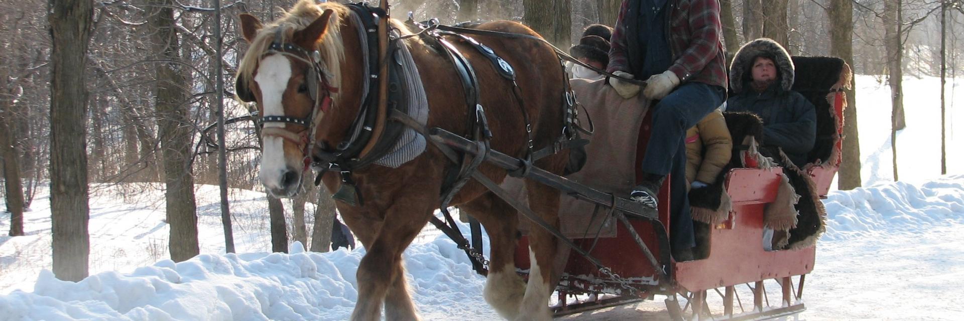 Balade en calèche au Deux-Alpes