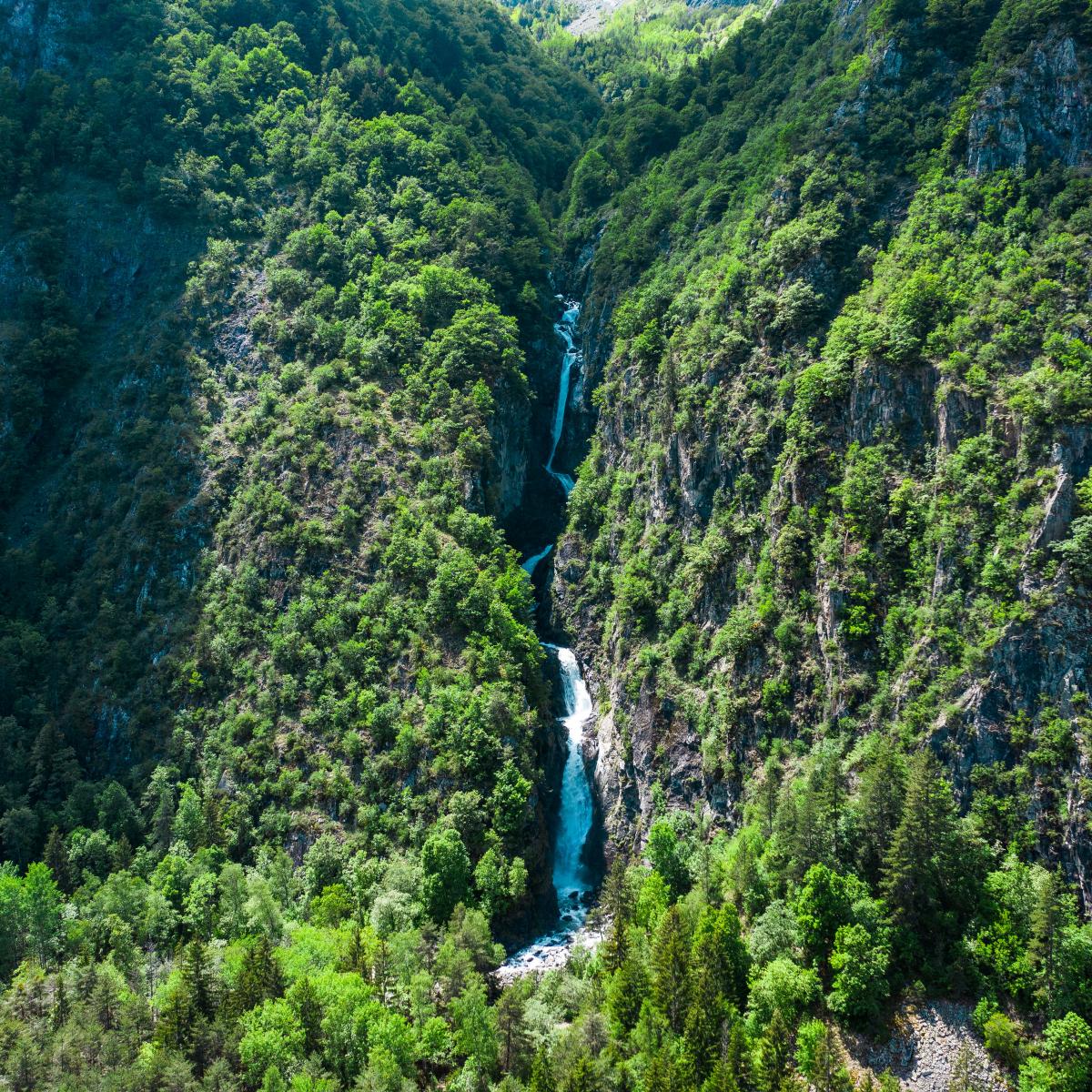 Nature, Parc National des Écrins | LE PARC NATIONAL DES ÉCRINS | Office