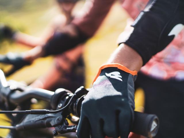 guidon-vtt-gants-les2alpes-ete.jpg