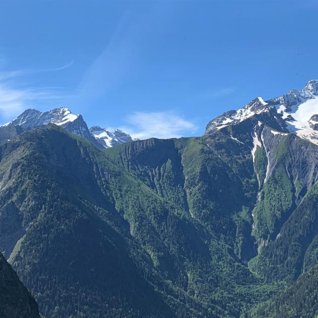 paysage-montagne-et-muzelle-en-ete.jpeg