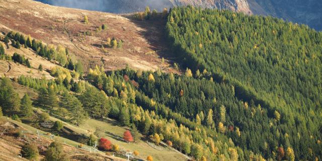 nature-dautomne-aux-2-alpes.jpg