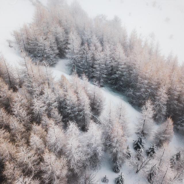 nature-neige.jpg