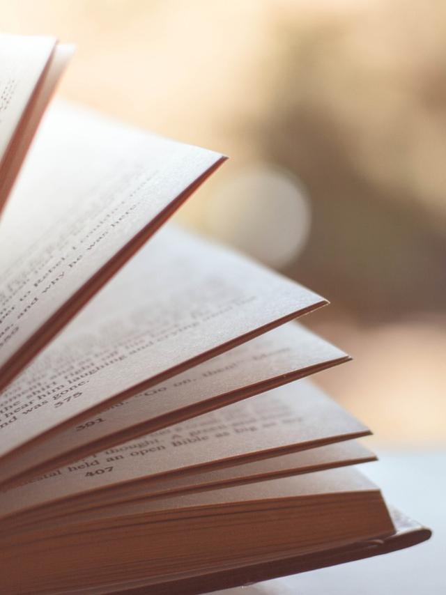 livre-2.jpg