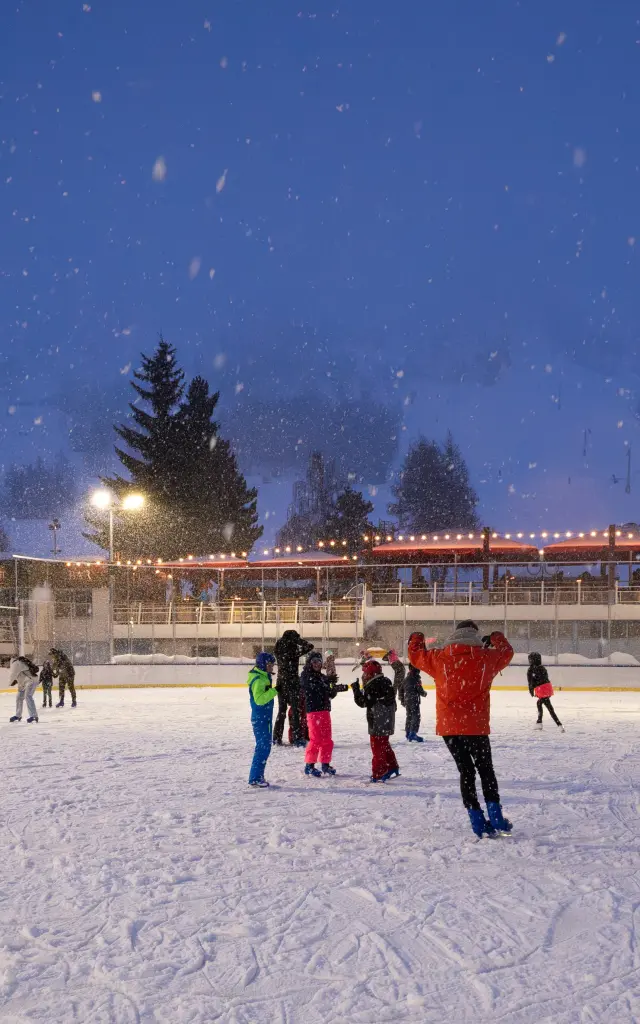Patinoire Des 2 Alpes