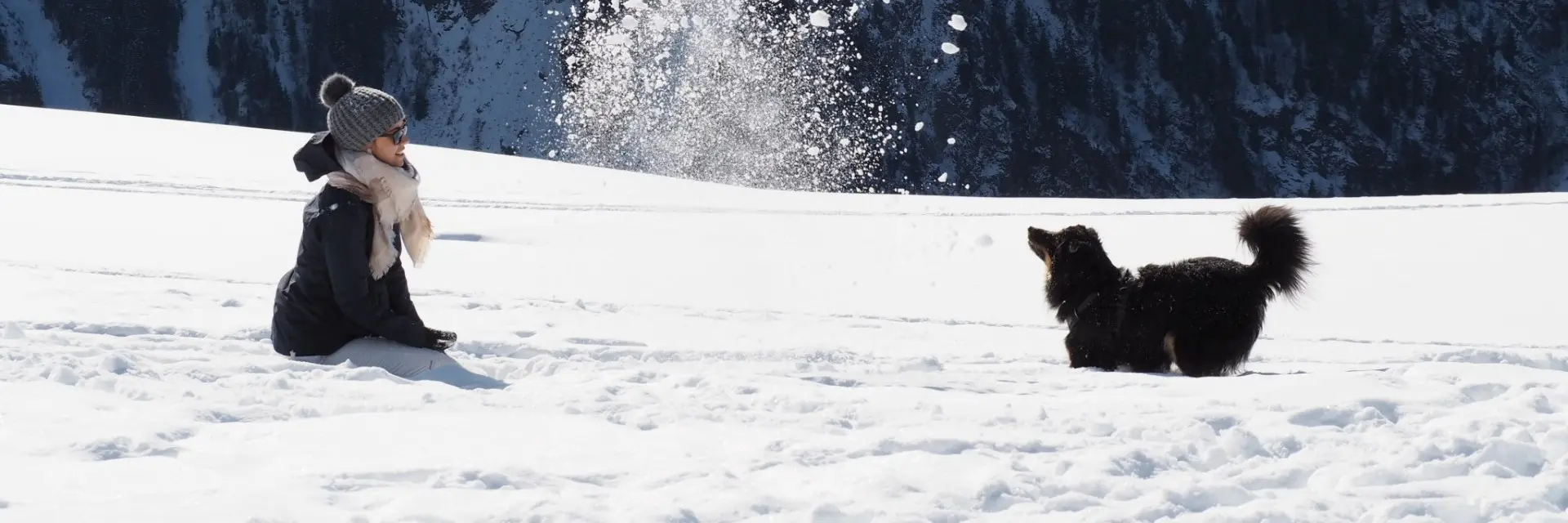 Maiko aux sports d'hiver. Chien qui joue dans la neige avec son maitre.