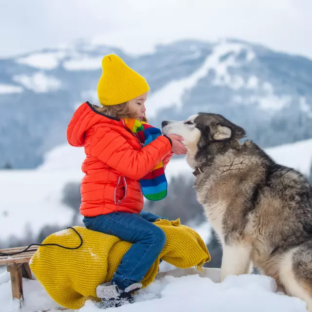 Active winter outdoors games for kids. Happy Christmas vacation concept. Boy enjoying winter with siberian husky dog, playing with sleigh ride in the winter forest.