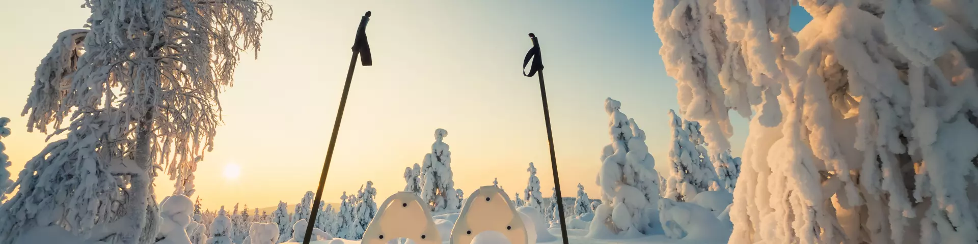 Winter landscape with snowy trees and snowshoes