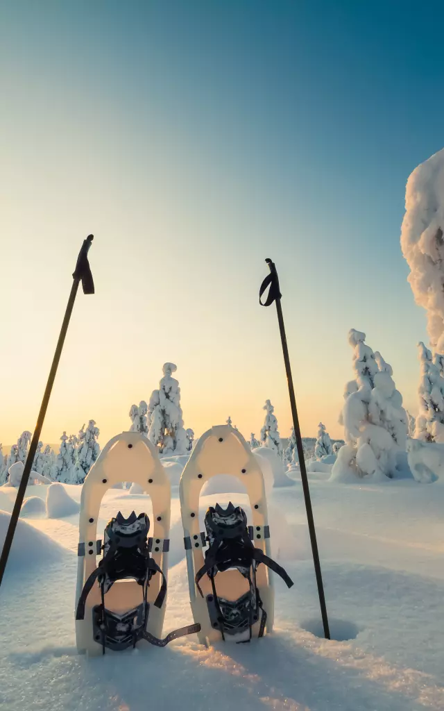 Winter landscape with snowy trees and snowshoes