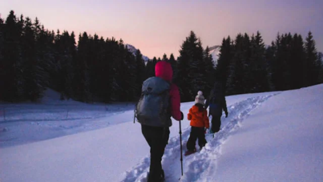 les-saisies-3-2-560x839