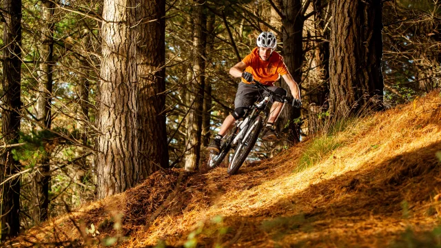 AdobeStock_360478867