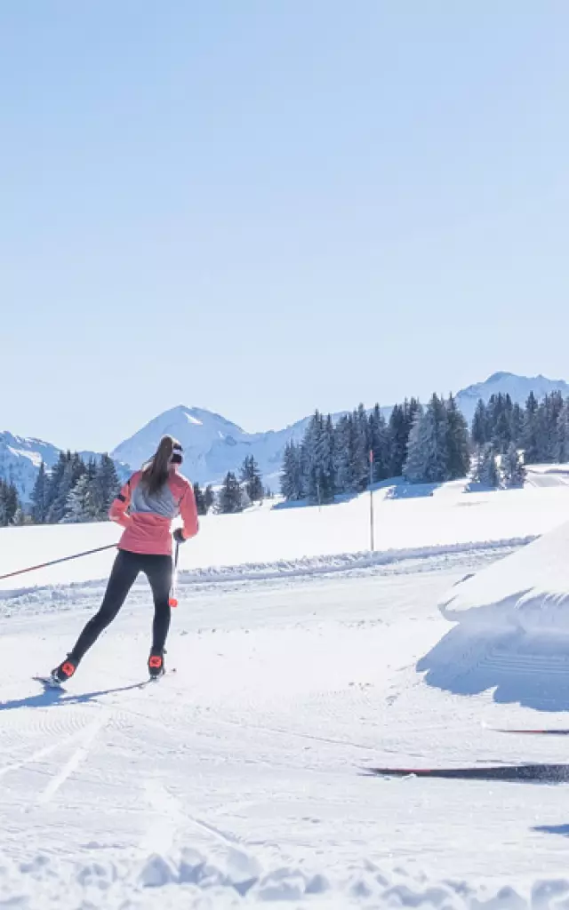 Ski-Nordic-15
