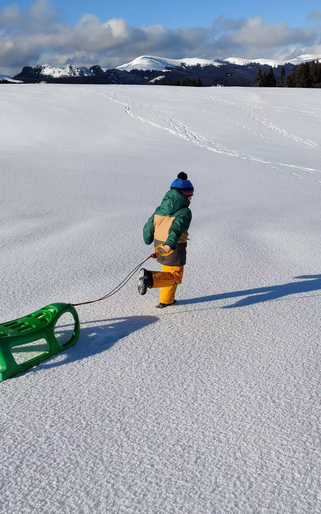 Luge
