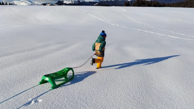 Luge