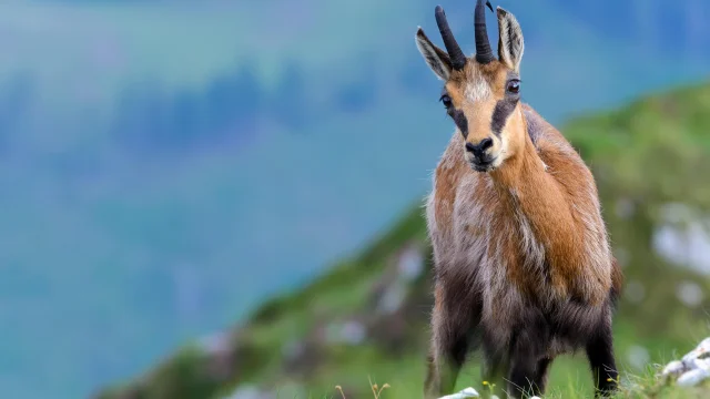 Adobestock 576681009